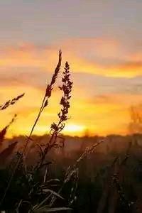 克罗地亚迎战荷兰，硝烟弥漫战场已布局