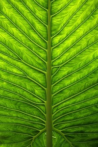 贝桑松队全体发威，力争夺得关键三分