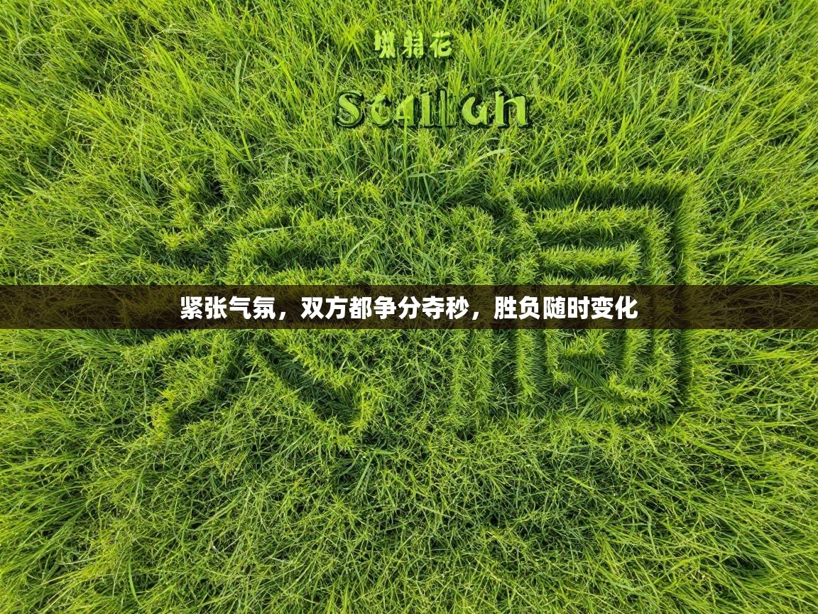 紧张气氛，双方都争分夺秒，胜负随时变化