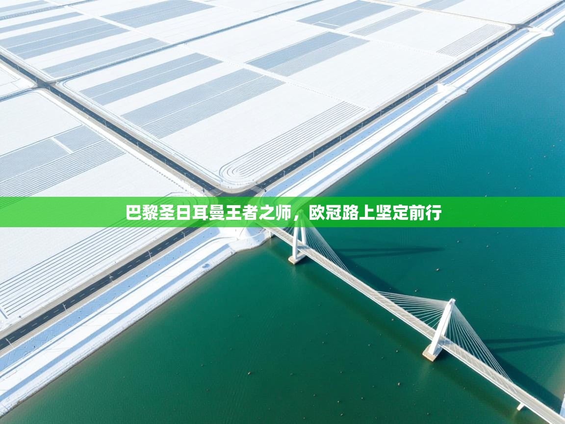 巴黎圣日耳曼王者之师，欧冠路上坚定前行